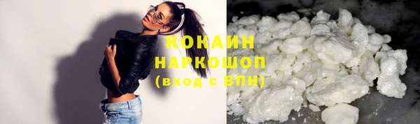 прущие крисы Бородино