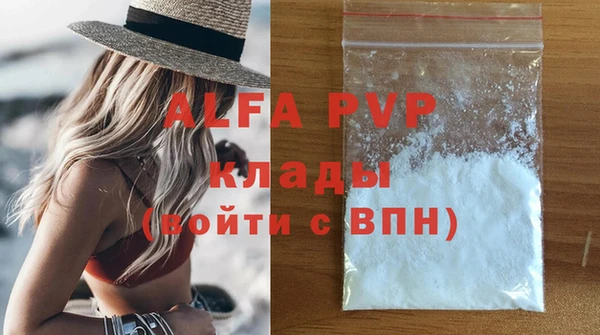 прущие крисы Бородино