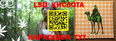 прущие грибы Балахна