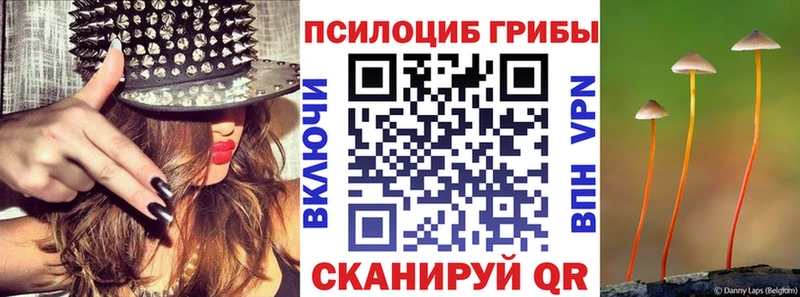 дарк нет телеграм  МЕГА ТОР  Бугуруслан  Галлюциногенные грибы Psilocybine cubensis 